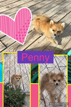 SOLD- Click On Picture For More Info- Deposit for Penny