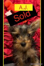 SOLD- Click On Picture For More Info- Deposit for AJ