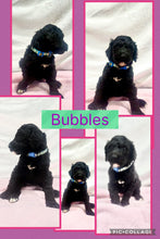 SOLD- Click On Picture For More Info- Deposit for Bubbles