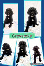 Click On Picture For More Info- Deposit for Greystoke