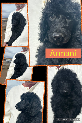Click On Picture For More Info- Deposit for Armani