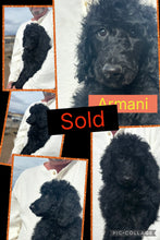 SOLD- Click On Picture For More Info- Deposit for Armani