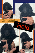 SOLD- Click On Picture For More Info- Deposit for Greystoke