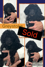 SOLD- Click On Picture For More Info- Deposit for Greystoke