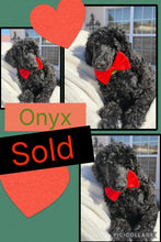 SOLD- Click On Picture For More Info- Deposit for Onyx