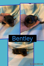 SOLD- Click On Picture For More Info- Deposit for Bentley