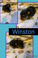 SOLD- Click On Picture For More Info- Deposit for Wilson