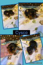 SOLD- Click On Picture For More Info- Deposit for Cysco