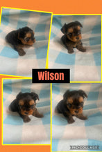 SOLD- Click On Picture For More Info- Deposit for Wilson