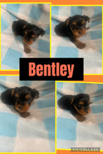 SOLD- Click On Picture For More Info- Deposit for Bentley