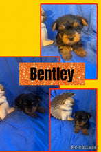 SOLD- Click On Picture For More Info- Deposit for Bentley