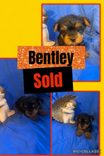 SOLD- Click On Picture For More Info- Deposit for Bentley