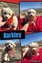 Click On Picture For More Info- Deposit for Barkley