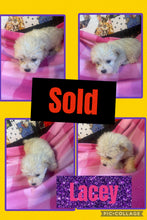 SOLD- Click On Picture For More Info- Deposit for Lacey