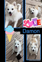 SOLD- BIG SALE- Click On Picture For More Info- Deposit for Damon