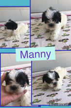 SOLD- Click On Picture For More Info- Deposit for Manny