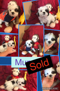 SOLD- Click On Picture For More Info- Deposit for Munson