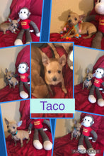 SOLD- Click On Picture For More Info- Deposit for Taco