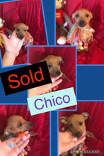 SOLD-Click On Picture For More Info- Deposit for Chico