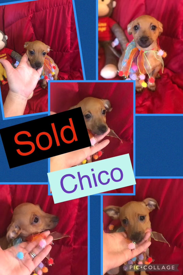 SOLD-Click On Picture For More Info- Deposit for Chico