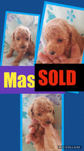 SOLD- Click On Picture For More Info- Deposit for Mason