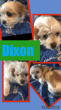 SOLD- Click On Picture For More Info- Deposit for Dixon
