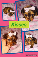 SOLD-Click On Picture For More Info- Deposit for Kisses