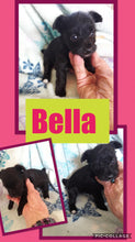 SOLD- Click On Picture For More Info- Deposit for Bella