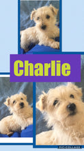 SOLD- Click On Picture For More Info- Deposit for Charlie