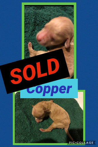 SOLD- Click On Picture For More Info- Deposit for Copper