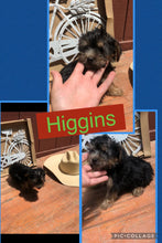 SOLD- Click On Picture For More Info- Deposit for Higgins