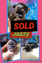 SOLD- Click On Picture For More Info- Deposit for Jazzy