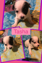 SOLD- Click On Picture For More Info- Deposit for Tasha