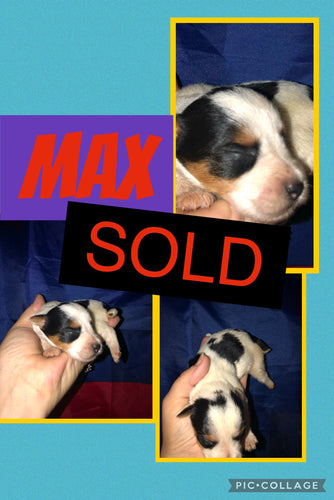 SOLD- Click On Picture For More Info- Deposit for Max