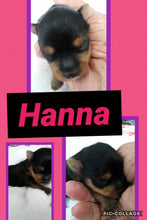 SOLD- Click On Picture For More Info- Deposit for Hanna