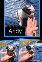 SOLD- Click On Picture For More Info- Deposit for Andy