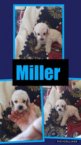 SOLD- Click On Picture For More Info- Deposit for Miller