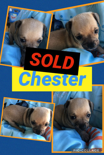 SOLD- Click On Picture For More Info- Deposit for Chester