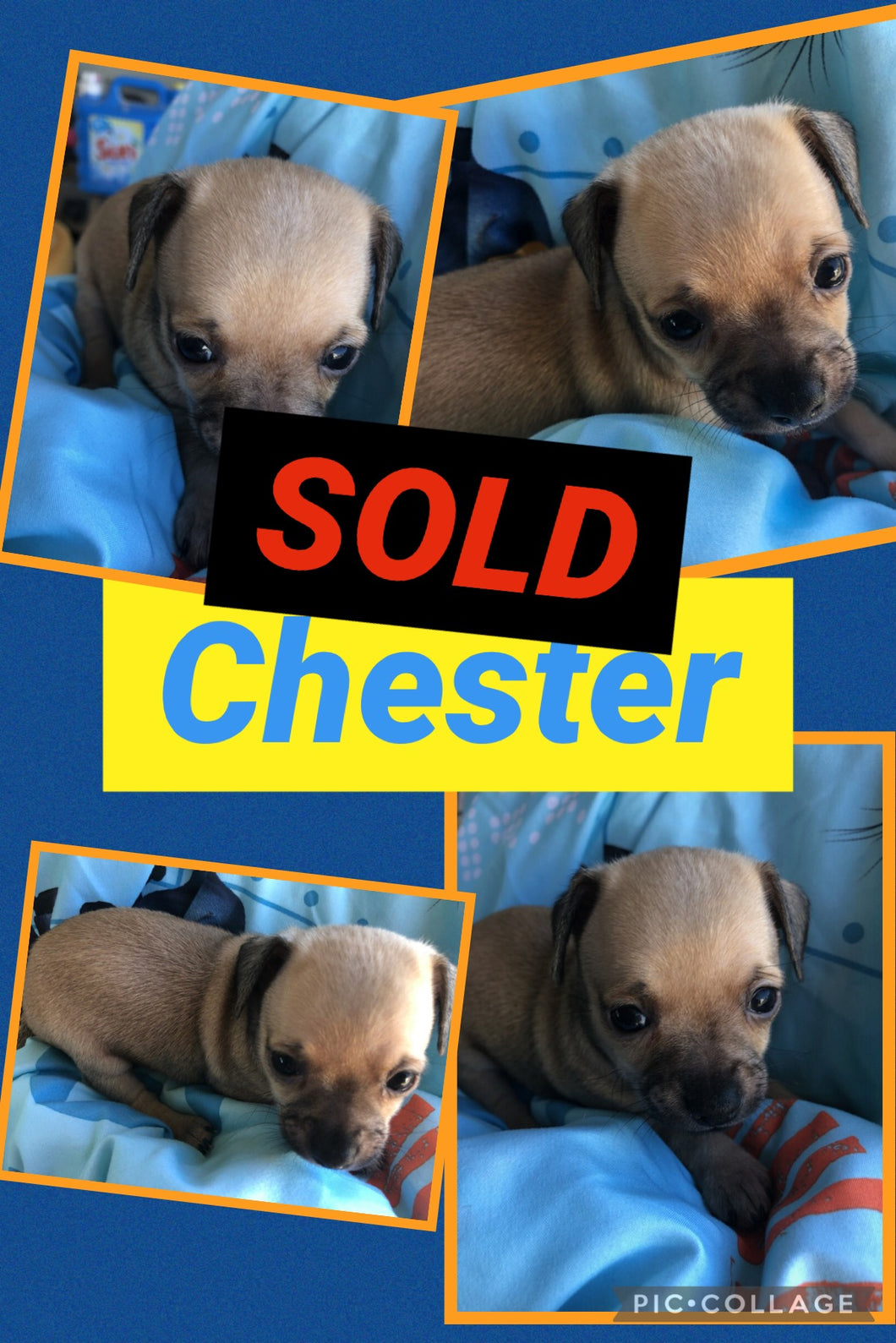 SOLD- Click On Picture For More Info- Deposit for Chester
