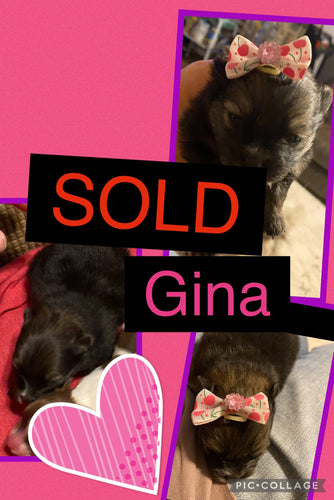 SOLD- Click On Picture For More Info- Deposit for Gina