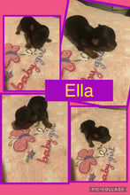 SOLD- Click On Picture For More Info- Deposit for Ella