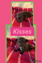 SOLD- Click On Picture For More Info- Deposit for Kisses