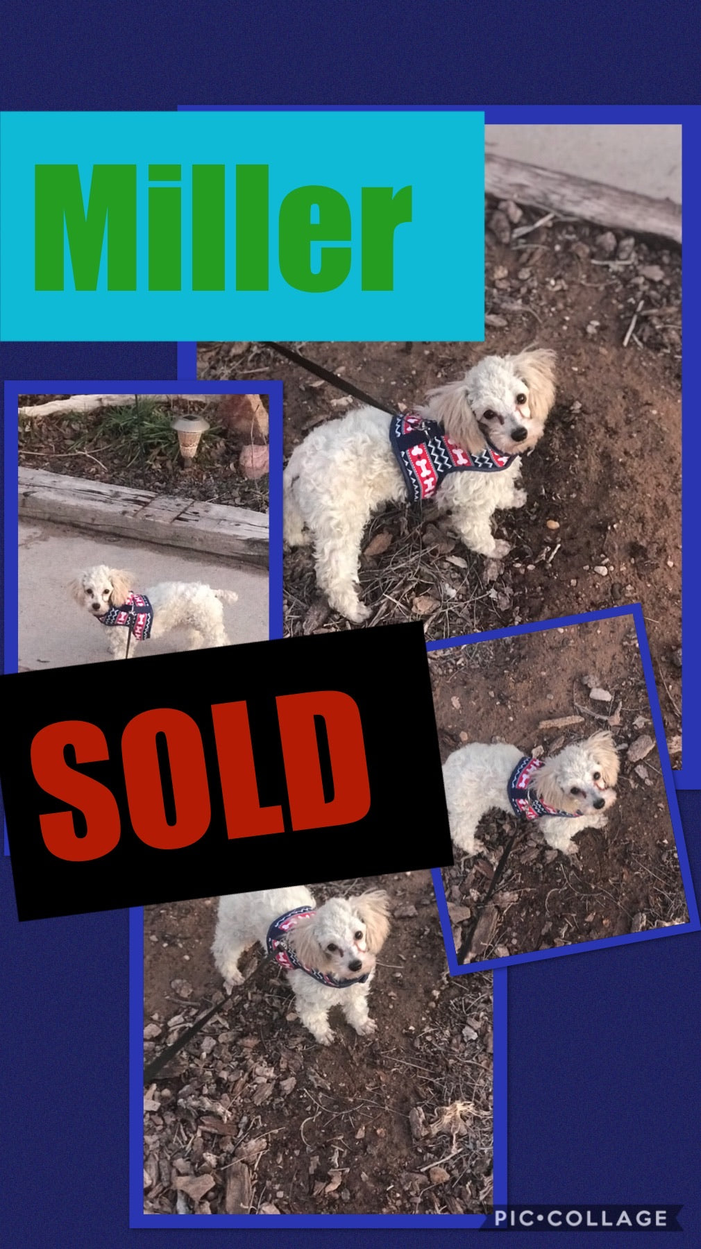 SOLD- Click On Picture For More Info- Deposit for Miller