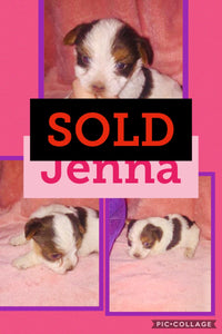 SOLD- Click On Picture For More Info- Deposit for Jenna