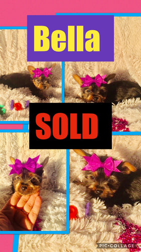 SOLD- Click On Picture For More Info- Deposit for Bella