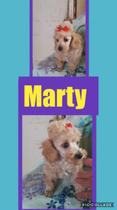SOLD-Click On Picture For More Info- Deposit for Marty