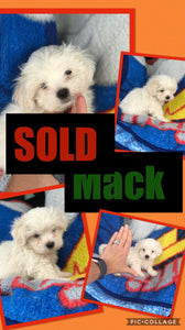 SOLD- Click On Picture For More Info- Deposit for Mack