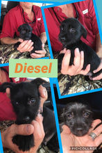 SOLD-Click On Picture For More Info- Deposit for Diesel