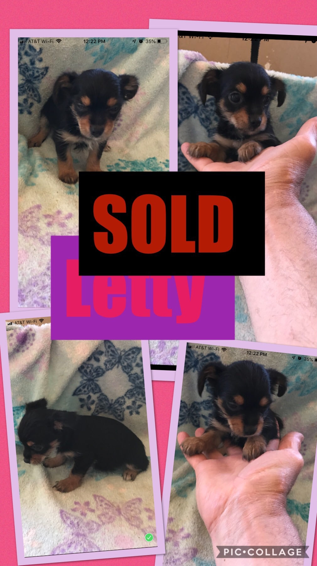 SOLD- Click On Picture For More Info- Deposit for Letty