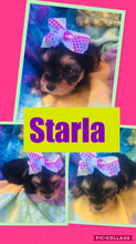 SOLD- Click On Picture For More Info- Deposit for Starla